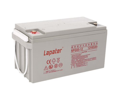 LapaterNPG65-12